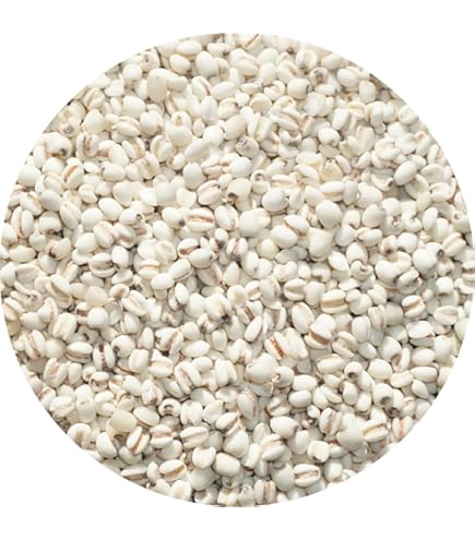 Amazon.co.jp: 【イスクラ産業】炒麦芽（いりばくが） 120包 : 食品